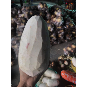 Taro púrpura congelado amarillo fresco de Vietnam ofrecido a precios competitivos al por mayor - Product Image 6