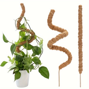 Pôle courbé en mousse pliable Monstera <span class=keywords><strong>Support</strong></span> d'escalade pour plantes grimpantes en pot plante d'intérieur treillis Pothos cocotier grand bâton - Product Image 4