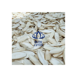 Nouvel Arrivage Os De Seiche Séché De Calmar Pour Oiseau Perroquet Alimentaire Produit Haute Protéine Et De Haute Qualité - Product Image 1