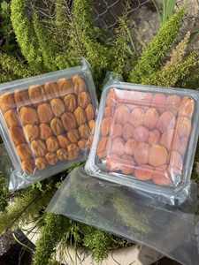 ลูกพลับแห้งคุณภาพส่งออกจากเวียดนาม สำหรับผู้นำเข้า ผู้ค้าส่ง และผู้ผลิตอาหาร - Product Image 6