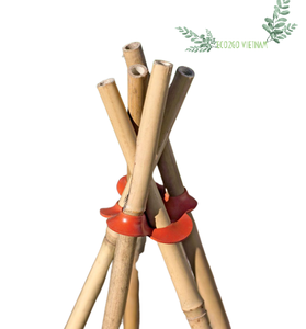 Fournisseur de jardin de haute qualité Piquets de fleurs en bambou/Piquets de plantes en bambou avec prix bon marché et 100% naturel d'Eco2go Vietnam - Product Image 4