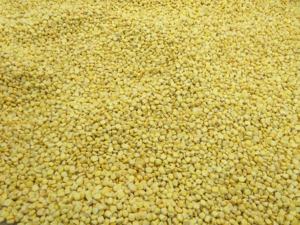 Toptan Tatlı Mısır Taneleri |   Fabrika Fiyatı, FOB/CIF Şartları Desteklenir - Product Image 4