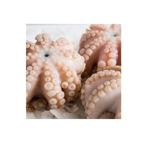 Pulpo Bebé Congelado y Sazonado, Pulpo Bebé Fresco Congelado en Venta - Product Image 1