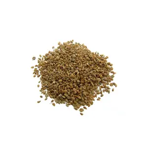 하이 퀄리티 천연 조미료 향신료 맞춤형 포장에 사용할 수있는 경쟁력있는 가격에 말린 셀러리 씨앗