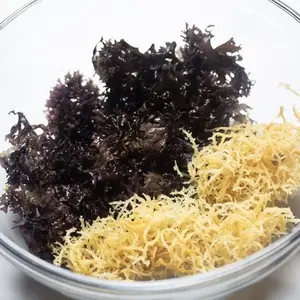 BEST PRICE OF DRIED SEA MOSS FROM VIETNAM TRACY