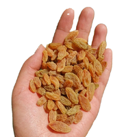 Raisins secs Super Golden Grape, conservés dans l'eau, sucrés, acidulés, salés, emballés sous vide, en vrac, fruits de Belgique
