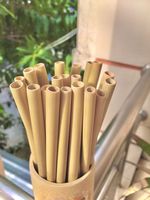 Pailles à boire en bambou certifiées ISO/HALAL, écologiques, 12-22 cm, vente en gros, haute qualité, MOQ 5000 pièces, prix compétitif, HUNG TAM VN