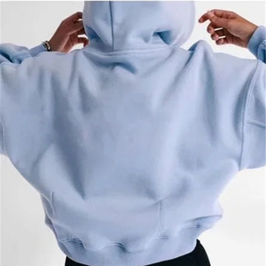 Nouveaux sweats à capuche d'hiver pour hommes 2025, coupe classique, vierges, unis, brodés, 100 % coton, personnalisables en gros, haute qualité - Product Image 2