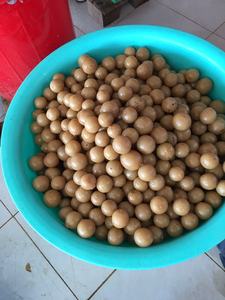 Limón salado-Lima encurtida con buena calidad Buen precio Por proveedor 99 Gold Data Vietnam para exportación con precio competitivo - Product Image 2