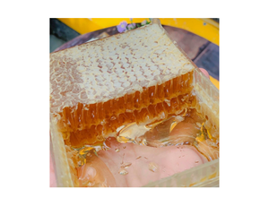 500g All Natural Raw Honeycomb 100% Honey Pure Raw Honey Comb Cake -100% All Natural Comestible Honey Combs se pueden comer directamente - Product Image 6