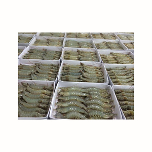 Camarones Vannamei Congelados Premium, Proveedor de Mariscos para Exportación a Granel - Product Image 5
