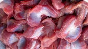 Gésiers de poulet halal surgelés de haute qualité, poulet entier avec vitamines, meilleur prix de gros pour emballage en vrac à vendre - Product Image 6