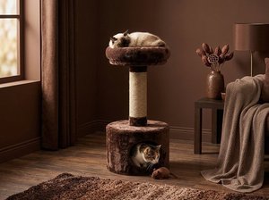 Casa para Gatos Fiona Chocolate Dream con Espacio Acogedor para Escurrirse - Product Image 4
