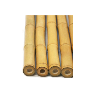 Poteau de bambou 100% couleur naturelle/poteau de bambou nature piquets de poteau de bambou/poteaux de bambou Eco vietnamiens - Product Image 1