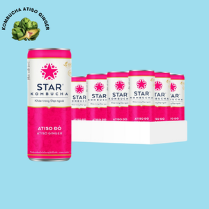 Produit en gros de qualité supérieure de carbonate de gingembre Atiso Kombucha - Product Image 1