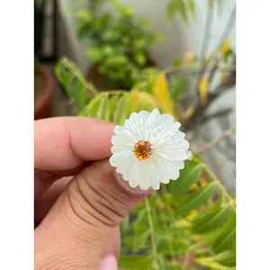 Bague florale en argent 925 avec nacre naturelle et pierre naturelle, idéale pour un cadeau - Product Image 2
