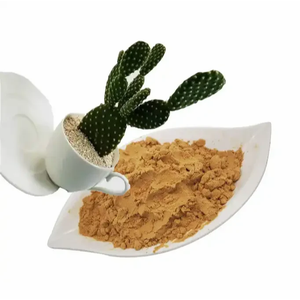 Suero para el Cuidado de la Piel con Extracto Seco de Cactus en Polvo - Product Image 2