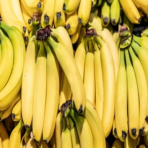 Fresh Sweet Yellow Green Cavendish Banana Calidad Premium Compre ahora Venta al por mayor Frutas de alta calidad Entrega rápida disponible - Product Image 4