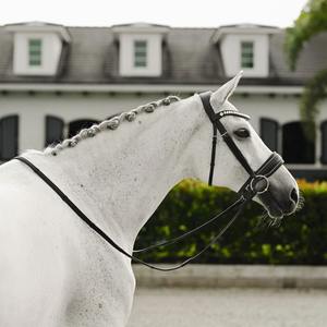 Brida de caballo de cuero de lujo curtido vegetal con accesorios plateados Banda de cejas plateada Tubería blanca-Nueva colección con banda para la nariz - Product Image 5