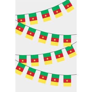 Cameroon Rectangular Party <b>Banners</b> Guirlande Elegant Fanions for Festive Decorations - Product Image 1
