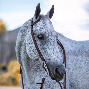 Producto de questrian ORSE idding lassic, ooled - Product Image 6