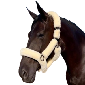 Meilleure qualité équestre en cuir véritable cheval sellerie marchandises fourrure rembourrée Logo personnalisé cheval licou - Product Image 1