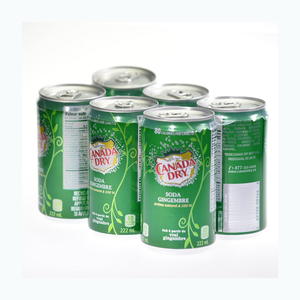 Refresco de jengibre seco canadiense, 330 ml, bebida gaseosa y refrescante - Product Image 1