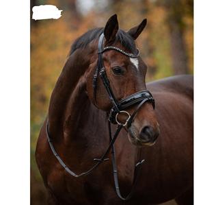 Brida snaffle - Product Image 5