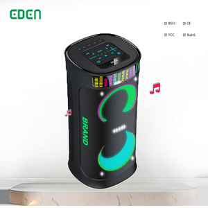 Eden Sản phẩm mới loa kép 6.5inch parlante Chất lượng cao hệ thống âm thanh DJ thiết bị loa Bluetooth bên loa không dây - Product Image 1