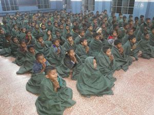 100% couvertures d'hiver en laine en vrac Avior Industries PVT LTD gris Raschel solide rayé tissé Techniques fabriquées en Inde pour les hôpitaux - Product Image 5