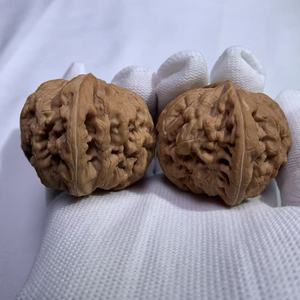Lámpara de Sal de Piedra Danhong Fuli Coleccionable - Concha Roja Profunda Natural, Técnica Cruda, Forma de Flor, Colección Feng Shui de Gran Valor - Product Image 3