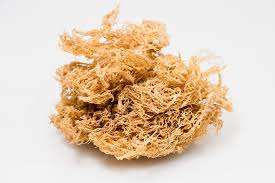 มอสทะเลแห้งจาก Viet Delta | คุณภาพสูง | บรรจุอย่างระมัดระวังโดย Ms. thao - Product Image 2