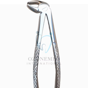 คีมถอนฟันขนาดเล็กแบบมืออาชีพ22นิ้วสำหรับเครื่องมือผ่าตัดฟันส่วนหน้าส่วนล่าง - Product Image 1