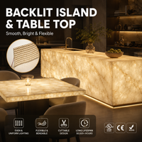 Feuille LED UL/ETL 24V SPI Monochrome Découpable, Panneau LED Flexible pour Éclairage de Fond en Onyx et Marbre