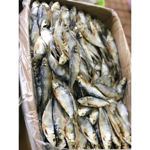 O melhor preço 100% Natural Herring <span class=keywords><strong>Seafood</strong></span> Vietnam com qualidade premium