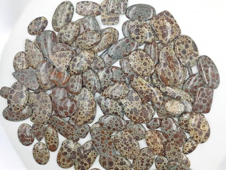 สีน้ำตาล