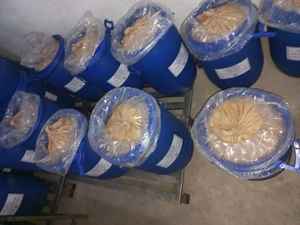 สารสกัดจากเซนน่า 5 USP Apex สารสกัดจากเซนน่า 5% USP ชนิดผง พร้อมเซนโนไซด์ 5% ขายส่ง ผลิตในรัฐราชสถาน อินเดีย - Product Image 3