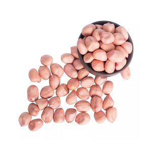 Top Quality Dried Whole Type Blanched <b>Peanut</b> White <b>Peanuts</b> Groundnut Kernel for Sale - Product Image 4