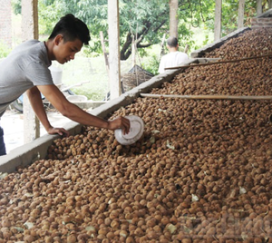 Litchi séché doux du Vietnam de haute qualité, fabriqué avec des fruits naturels pour les ingrédients de confiserie, la pâtisserie et les acheteurs en gros - Product Image 6