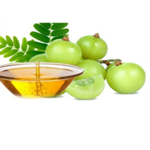 100% Pure Amla Seed <b>Carrier</b> <b>Oil</b> Premium Product Type - Product Image 3