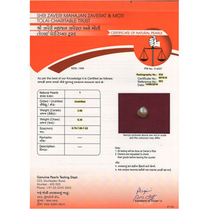 Perla Natural Blanca de Agua Dulce Suelta de 3.58 Quilates - Product Image 4
