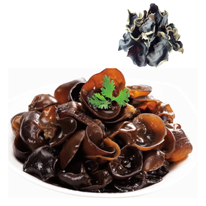 Hongo Natural de Oreja de Madera Seco con Precio Competitivo para Venta al por Mayor - Product Image 6