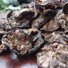 MEZCLA NONI DRY/BOOSTER CLEAN LABEL/FUENTE BOTÁNICA A BASE DE PLANTAS - Product Image 3