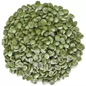 Cheap High Grade Robusta <b>Coffee</b> <b>Beans</b> Organic Green <b>Beans</b> Bulk Supply From Vietnam Manufactory Screen 16 and 18 Cheap Price - Product Image 3