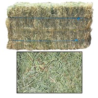 Foin de Rhodes de qualité supérieure pour l'alimentation animale, 100% naturel, riche en protéines, avec un maximum de 1% d'adjuvants, pour bovins, chevaux, poissons et fermes.