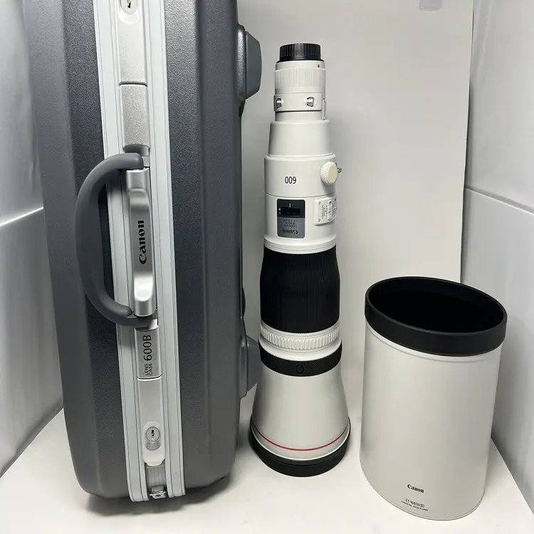 New In EF 600mm F/4.0 L IS USM W/ Carriage Bag