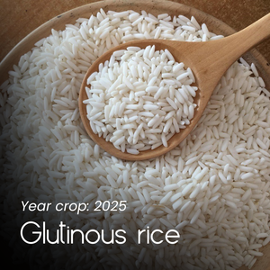 [NUEVO CULTIVO] Arroz pegajoso glutinoso vietnamita Buena calidad Grano corto largo de alto grado a granel Riz 5% Roto 5KG 10KG 25KG 50KG - Product Image 1
