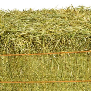 Proveedores de Heno de Alfalfa de Alta Calidad para Alimentación Animal, Heno de Alfalfa/Timothea en Venta - Product Image 2