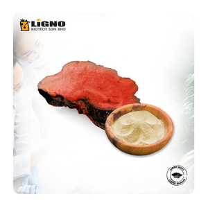 LiGNO AC07 Antrodia Camphorata Malasia, Ingrediente Premium para la Salud, Bienestar, GMP, OEM, ODM, Polvo Nutracéutico Funcional Listo para Usar - Product Image 1