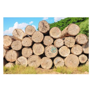 Fresh Cut Teak Wood <b>Logs</b> Natural Hardwood Timber for Industrial Applications - Product Image 2